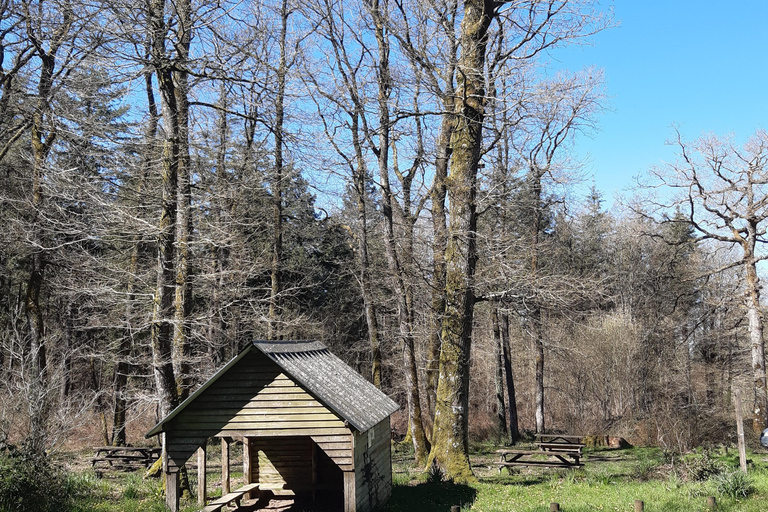 A Day Hike in Mervent Forest (Vendée)