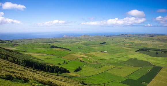 Terceira: Half a day to discover the island.