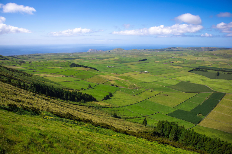 Terceira: Full day exploring the island's hidden corners with a local guide Terceira: Full-Day Customized Island Tour - Private Tour