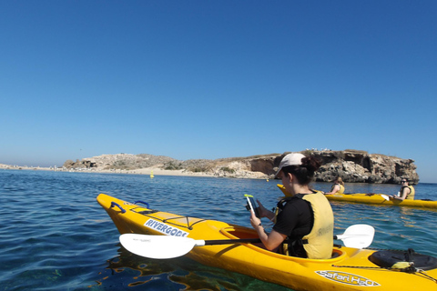 Rockingham: Dagstur med havskajak på säl- och pingvinöarnaRockingham: Seal och Penguin Islands Sea Kayak Day Tour