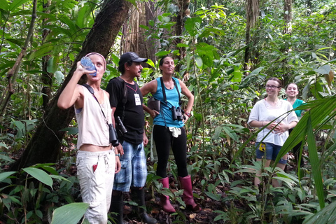 Parco Nazionale del Corcovado: Tour guidato a piedi - Giorno intero