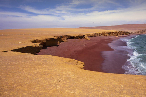 From Paracas: Ballestas Islands and Paracas National Reserve Ballestas Islands tour only