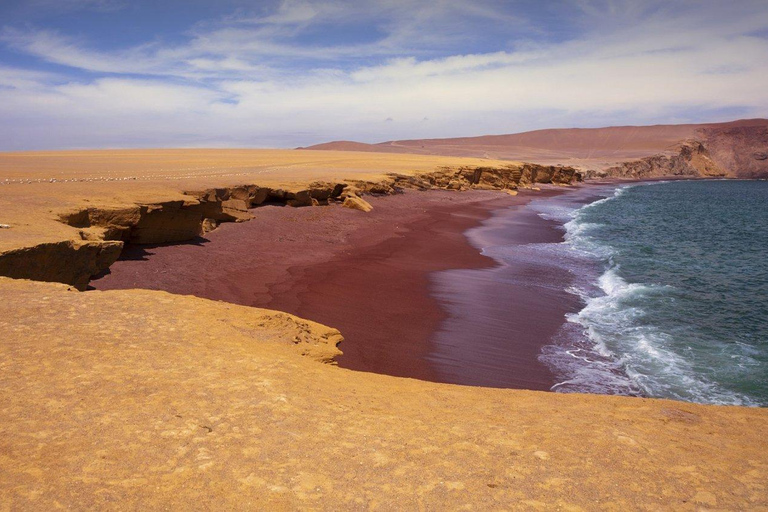 From Paracas: Ballestas Islands and Paracas National Reserve Ballestas Islands tour only