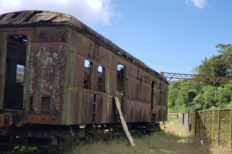 Port of Santos Shore Excursions: Sao Paulo Villages Day Trip