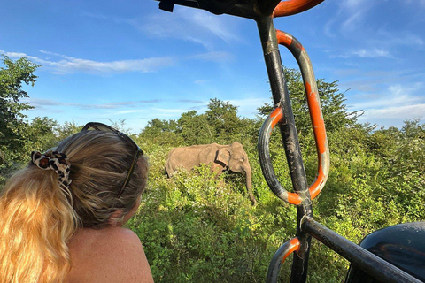 From South Coast: Udawalawe Park Safari with Ella Drop-off