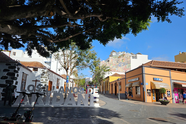 Los Llanos de Aridane: Open-Air Art and Culture Tour. CEMFAC Museum Los Llanos de Aridane: CEMFAC Open-Air Art & Culture Museum