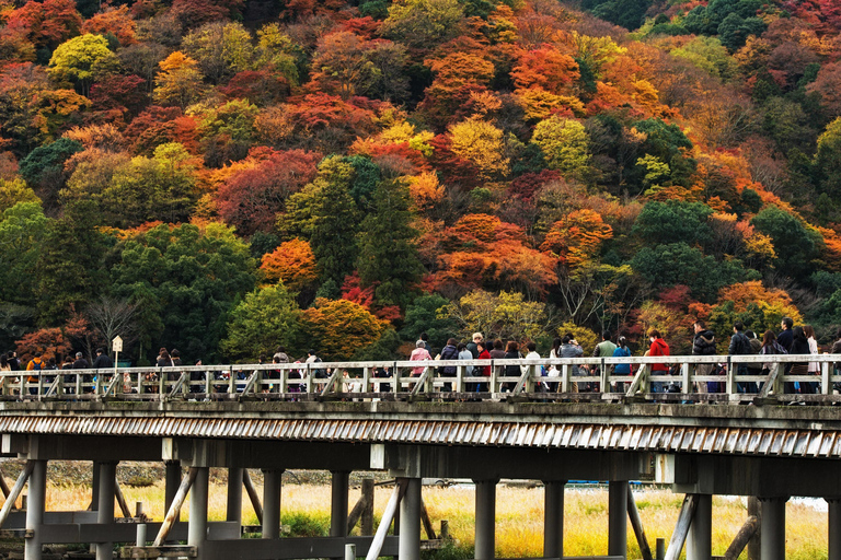 Kyoto : Visite privée d&#039;Arashiyama avec le train romantique de SaganoVisite privée avec trajet en train