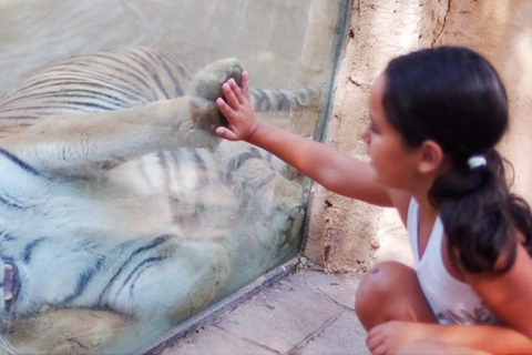 Tabernas: MiniHollywood Oasys Entry Ticket & Optional Buffet MiniHollywood Oasys Entry Ticket with Buffet