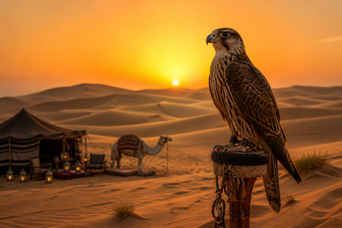 Falconry & Camel Experience in Riyadh