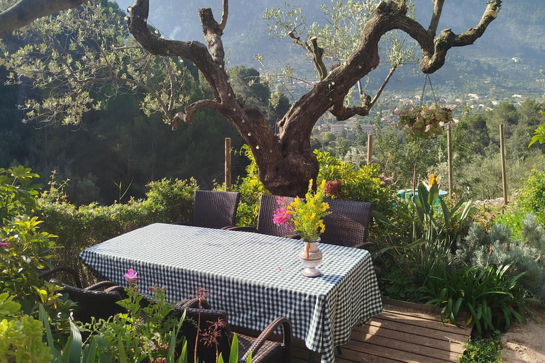 Tramuntana Mountains: Ceramic Workshop in Traditional Finca