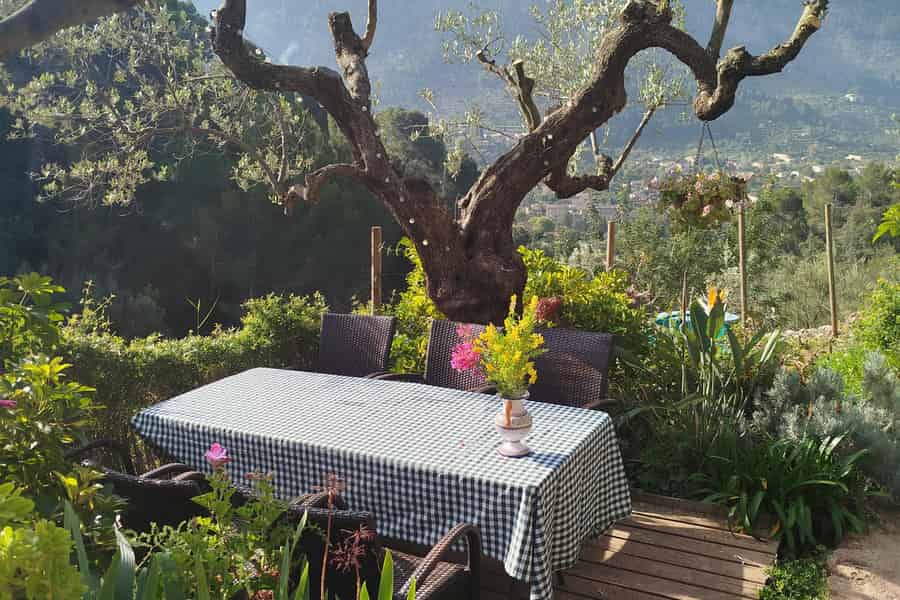 Mallorca: Paella-Kochkurs im Tramuntana-Gebirge. Foto: GetYourGuide