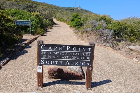 Cape Town: Cape of Good Hope & Penguins sunset share Tour