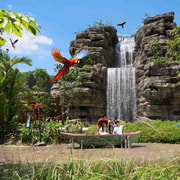 Singapore: Bird Paradise Entry Ticket with Hotel Transfer