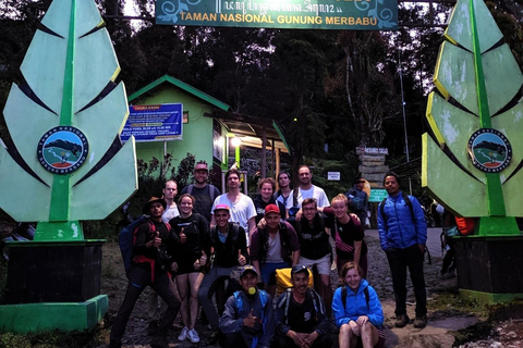 Von Yogyakarta aus: Berg Merbabu Ein-Tages-Wandertour