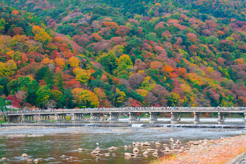 Kyoto & Nara: Cute Deer & Bamboo Forests from Osaka Kyoto and Nara: Day Trip from Osaka