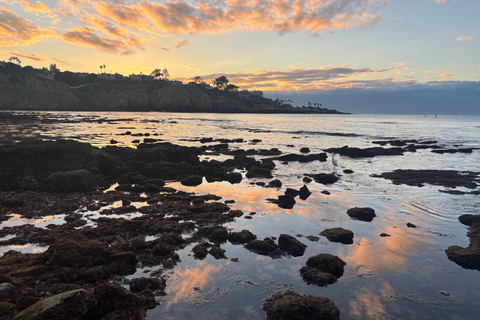 La Jolla Cove Sea Lions & Cave Snorkel Tour