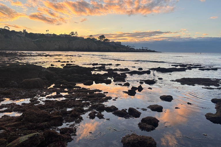 La Jolla Cove Sea Lions & Cave Snorkel Tour
