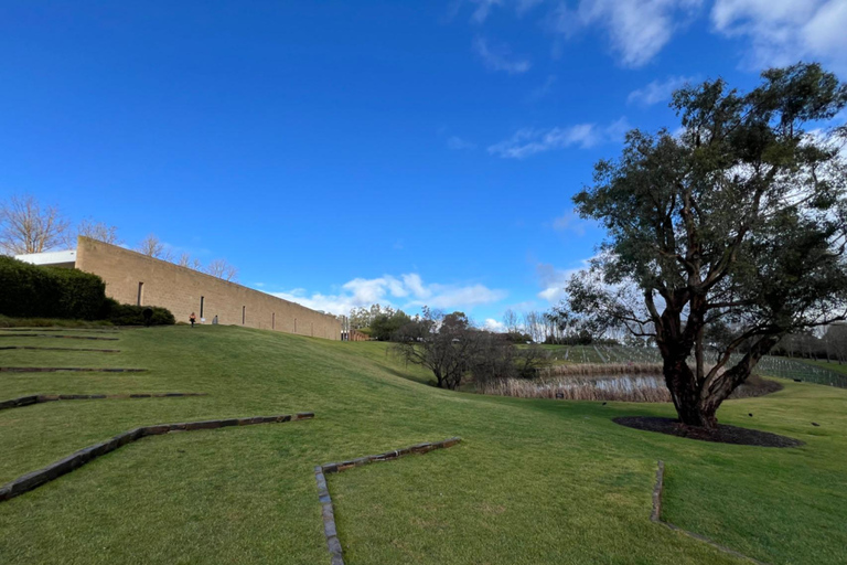 Melbourne: Yarra Valley wijngaarden privétour met de auto