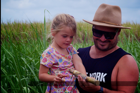 Mackay: 3 Hour Sugarcane Farm Tour