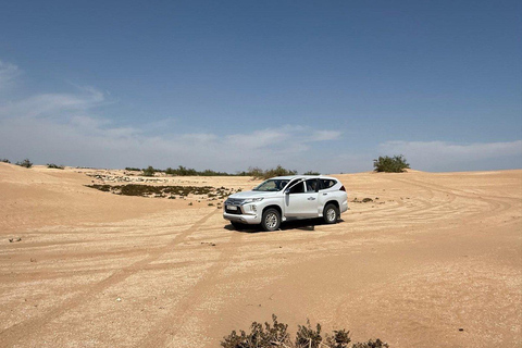 Agadir: Mini Sahara 4x4 Jeep Safari with Berber Lunch PICK UP FROM AGADIR