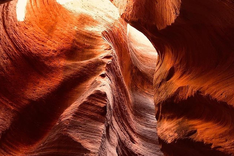 Orderville: East Zion Slot Canyons Award-Winning UTV Tour