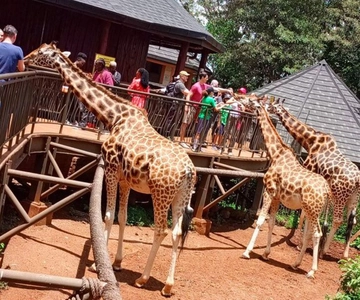 Visita ao Centro das Girafas, Karen Blixen e Bomas do Quénia