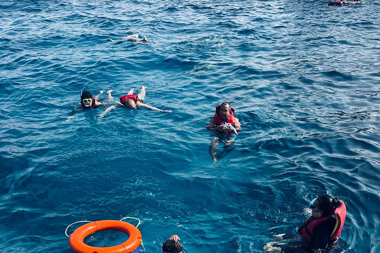 Sharm: Small Group White Island & Ras Mohammed Boat Cruise Small Group White Island & Transfer, without Snorkel Gear