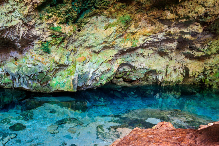 Zanzibar: Jozani Forest, Kuza Cave & Seaweed Farm Tour