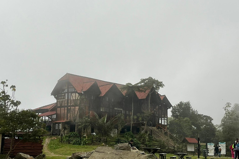 Bogota: Chicaque Nebelwald Tagesausflug mit Mittagessen
