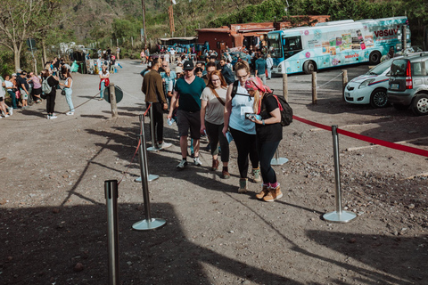 Sorrento: Pompeii & Mount Vesuvius Tour with Transfers