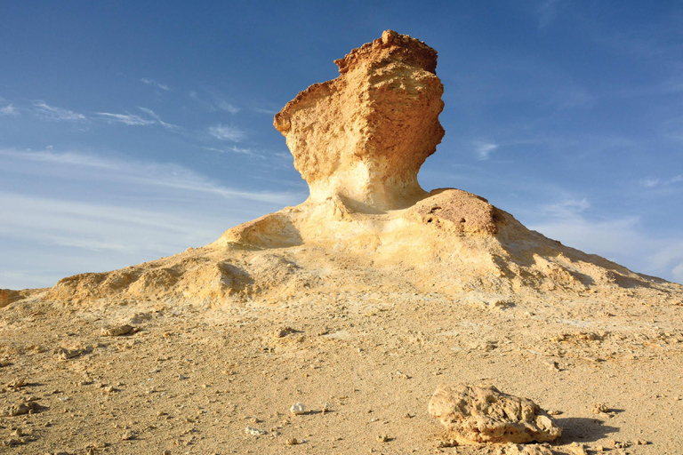 Ouest du Qatar : visite guidée avec Mushroom Rock et Richard Serra
