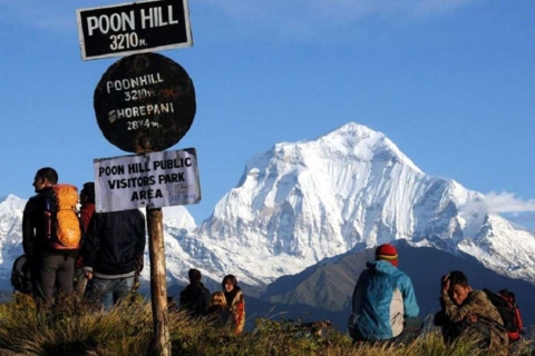 Krótka wędrówka do Ghorepani Poonhill z Pokhary (1N2D)