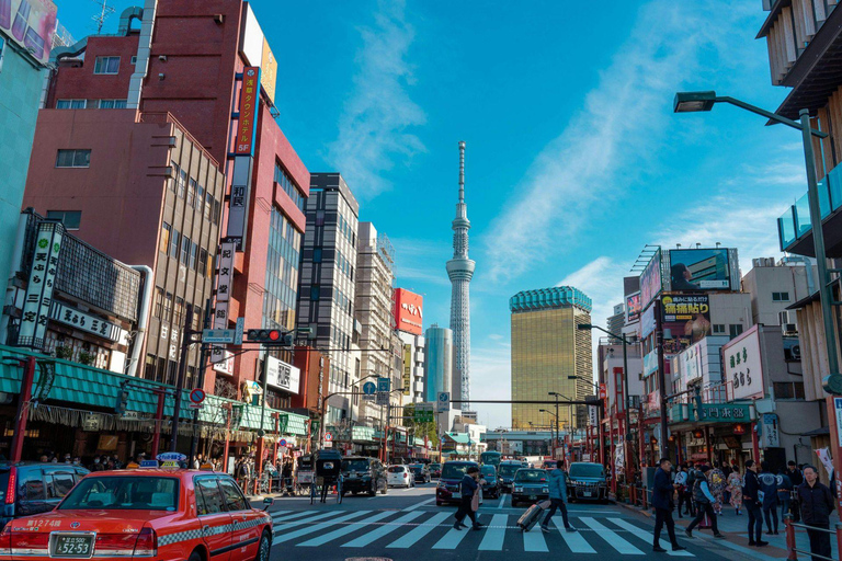 Tokyo City Tour: Private Full-Day Tour with Hotel Pickup Comfortable, air-conditioned Vellfire for 1–6 guests-8- Hour