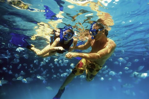 Cancun/Riviera Maya: Tulum Guided Tour & Xel-Ha Park Entry
