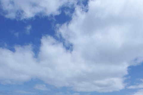 Boa Vista: całodniowa wycieczka łączona z lunchemBoa Vista: całodniowa wycieczka łączona z obiadem