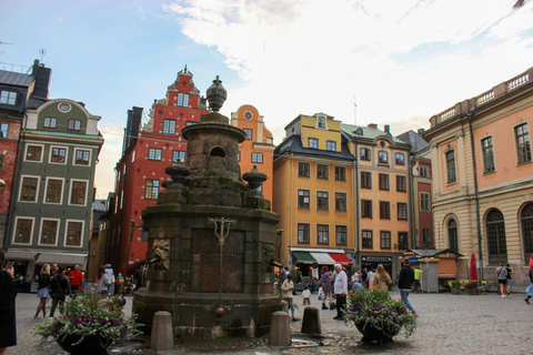 Stockholm : Les incontournables : l'hôtel de ville, la vieille ville et Vasa私人中文导游