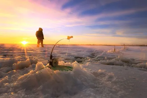 Rovaniemi: excursión invernal de pesca en hielo