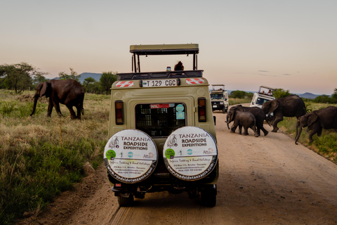 Day trip to Tarangire National Park