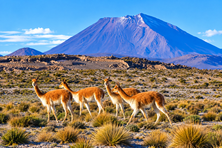 Chivay–Puno: Mystical Journey through the Andes, Apus, Apachetas, and Lagunillas Chivay–Puno: Mystical Journey through the Andes, Apus, Apachetas and Lagunillas