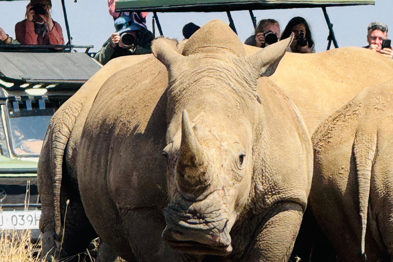 Nairobi Park Safari, Sheldrick's Orphanage & Giraffe Center Shared Drive in Open-Roof Van Game Drive