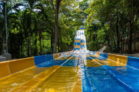 DESDEBOGOTÁ: Visit the Piscilago Water Park including ticket and lunch.