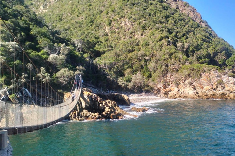 Johannesburg: 10-Day Victoria Falls & Garden Route Tour