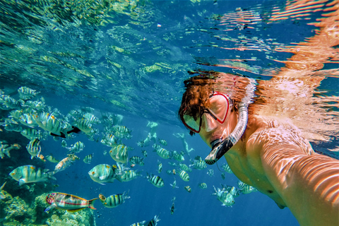 Bayahibe: Excursión de snorkel y buceo en la Isla Catalina