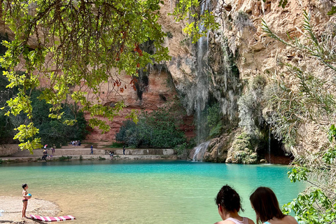 Da Valencia: Degustazione di vini e visita alla Cueva de Turche