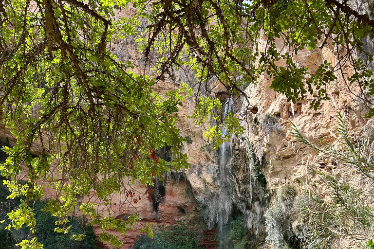 Från Valencia: Vinprovning och besök i Cueva de Turche