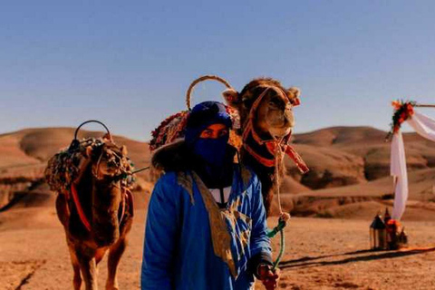 Excursión de un día a Marrakech en tirolina por el Alto Atlas