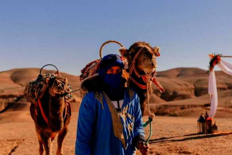 Excursion d'une journée à Marrakech en tyrolienne dans le Haut Atlas