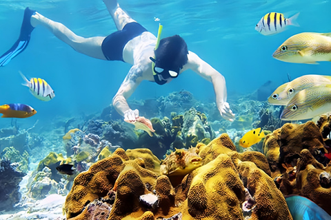 Från Da Nang/ Hoi An: Chamöarna &amp; snorkling eller dykningGruppresa