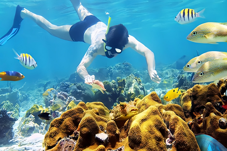 Från Da Nang/ Hoi An: Chamöarna &amp; snorkling eller dykningGruppresa