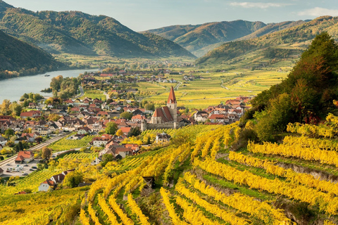 Viena: Wachau, Melk, Hallstatt e Salzburgo com um passeio de barcoTour particular